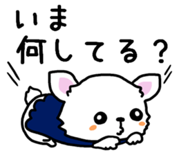 Toy poodle and Chihuahua for the couple sticker #8499183