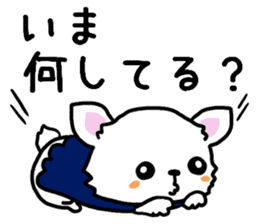 Toy poodle and Chihuahua for the couple sticker #8499183