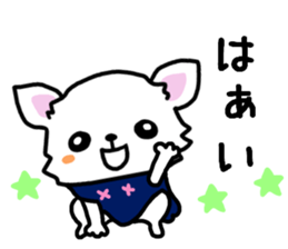 Toy poodle and Chihuahua for the couple sticker #8499185