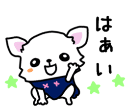 Toy poodle and Chihuahua for the couple sticker #8499185