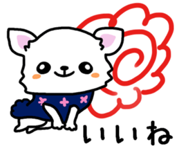 Toy poodle and Chihuahua for the couple sticker #8499187