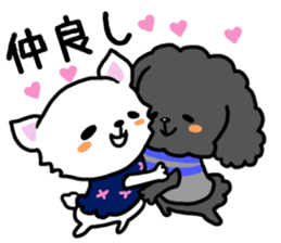 Toy poodle and Chihuahua for the couple sticker #8499192