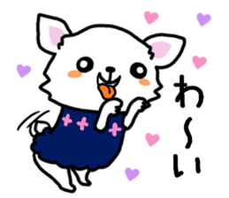 Toy poodle and Chihuahua for the couple sticker #8499196