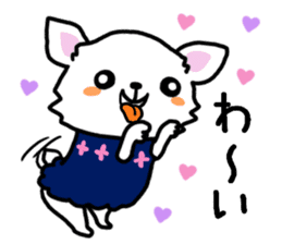 Toy poodle and Chihuahua for the couple sticker #8499196