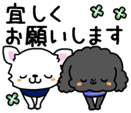 Toy poodle and Chihuahua for the couple sticker #8499197