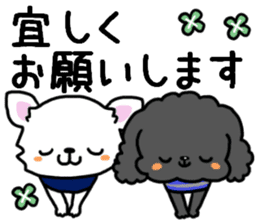 Toy poodle and Chihuahua for the couple sticker #8499197