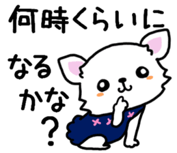 Toy poodle and Chihuahua for the couple sticker #8499198