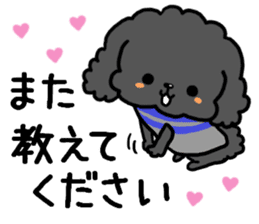 Toy poodle and Chihuahua for the couple sticker #8499199