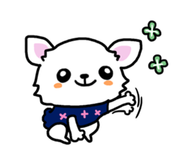 Toy poodle and Chihuahua for the couple sticker #8499202