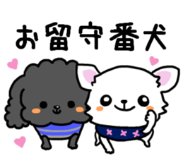 Toy poodle and Chihuahua for the couple sticker #8499209