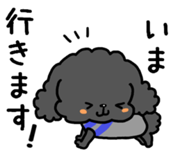 Toy poodle and Chihuahua for the couple sticker #8499210