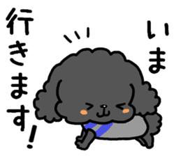 Toy poodle and Chihuahua for the couple sticker #8499210