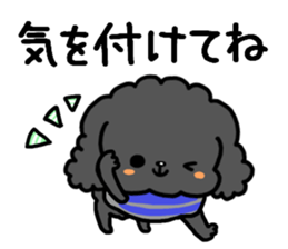 Toy poodle and Chihuahua for the couple sticker #8499211