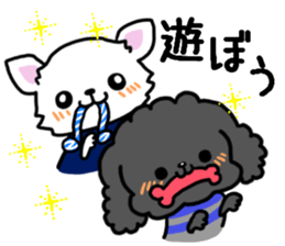 Toy poodle and Chihuahua for the couple sticker #8499212