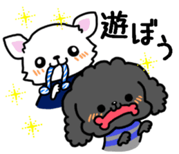 Toy poodle and Chihuahua for the couple sticker #8499212