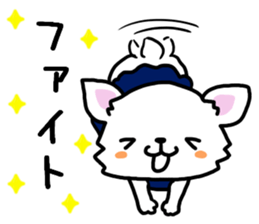 Toy poodle and Chihuahua for the couple sticker #8499213