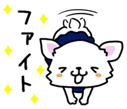 Toy poodle and Chihuahua for the couple sticker #8499213