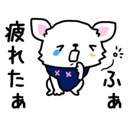 Toy poodle and Chihuahua for the couple sticker #8499214