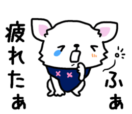 Toy poodle and Chihuahua for the couple sticker #8499214