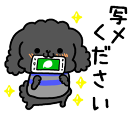 Toy poodle and Chihuahua for the couple sticker #8499215