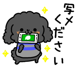 Toy poodle and Chihuahua for the couple sticker #8499215