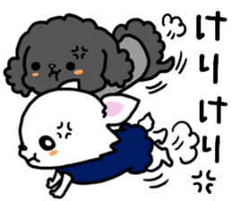 Toy poodle and Chihuahua for the couple sticker #8499216