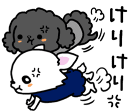Toy poodle and Chihuahua for the couple sticker #8499216