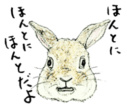 Wannabe famous rabbit sticker #8499422