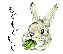 Wannabe famous rabbit sticker #8499424