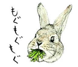 Wannabe famous rabbit sticker #8499424