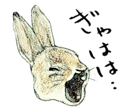Wannabe famous rabbit sticker #8499426