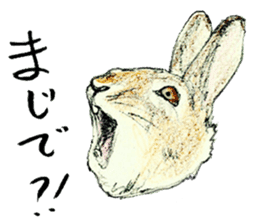 Wannabe famous rabbit sticker #8499431