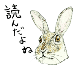 Wannabe famous rabbit sticker #8499438