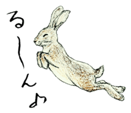 Wannabe famous rabbit sticker #8499448