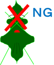 Adventures of Awa-kun and Wakatan sticker #8500288