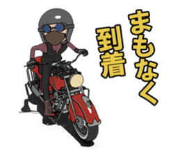 Leisurely rider sticker #8500718