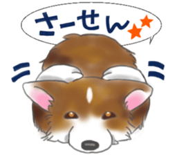 Piki sometimes Lamsama and friend's sticker #8501551