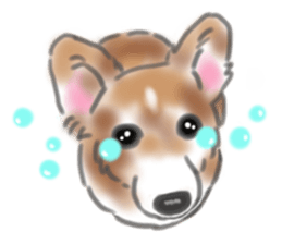 Piki sometimes Lamsama and friend's sticker #8501562