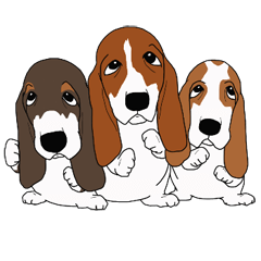 Basset Hound 2 By Sanda Basset Hound 2 By Sanda
