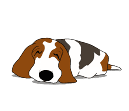 Basset hound 2 sticker #8502779