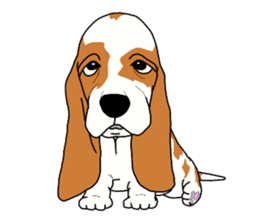 Basset hound 2 sticker #8502784