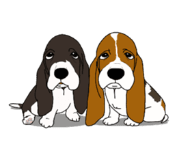 Basset hound 2 sticker #8502785
