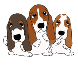 Basset hound 2 sticker #8502803
