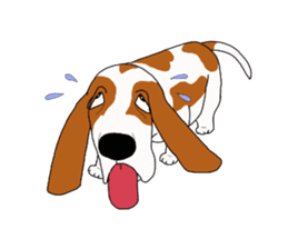 Basset hound 2 sticker #8502804