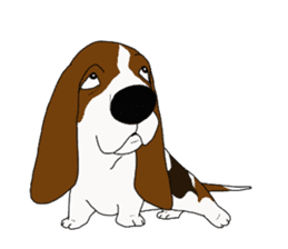 Basset hound 2 sticker #8502812