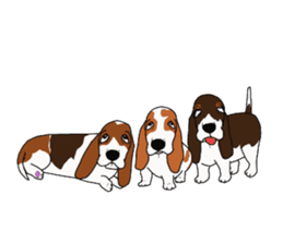 Basset hound 2 sticker #8502813