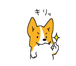 corgitaro sticker #8503028