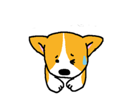 corgitaro sticker #8503030