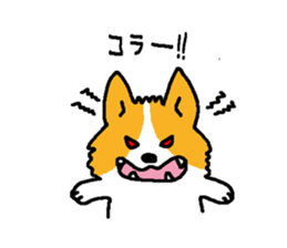 corgitaro sticker #8503031