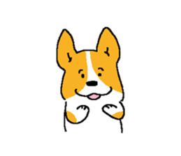 corgitaro sticker #8503039